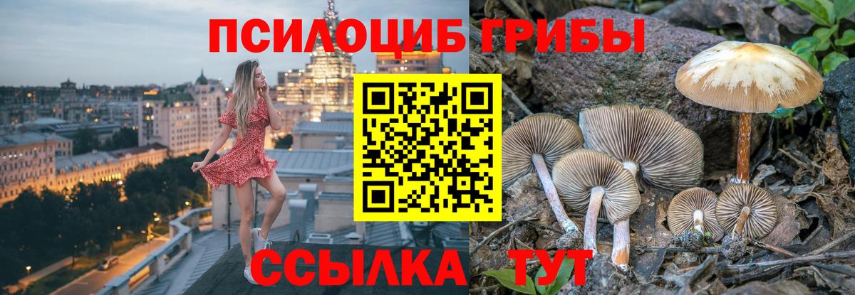 Галлюциногенные грибы Psilocybine cubensis  Вход с VPN  Новочеркасск 